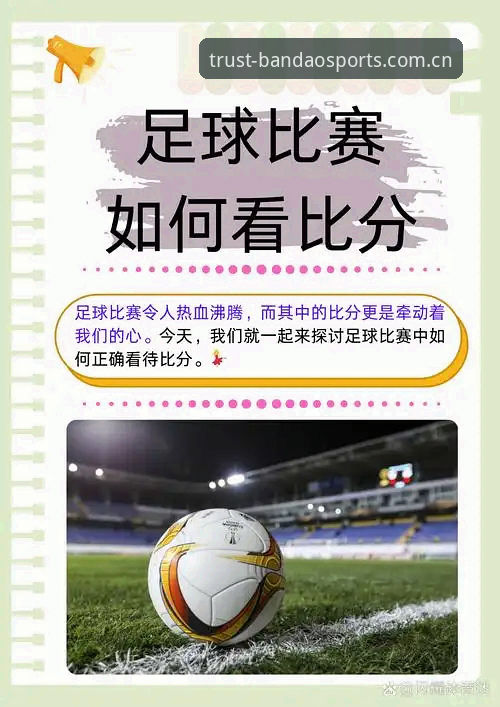 半岛体育数据实用技巧：从赛事分析到投注决策的必备知识